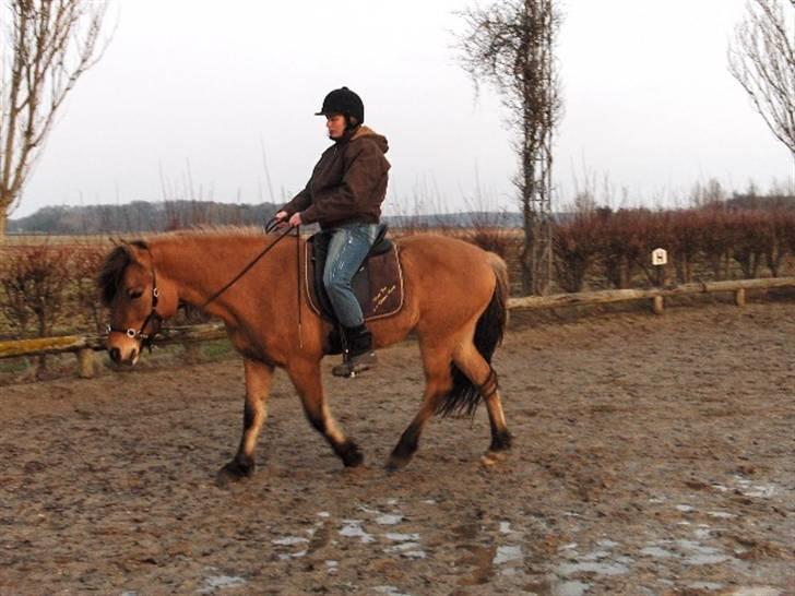 Anden særlig race fanny - arbejder med fremdriften 2010 billede 10