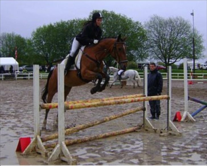 Dansk Varmblod Overgaards Minuet - Eddie i årslev, hun var for sej!! :-D Jeg kan ikke beskrive hvor glad jeg er for at jeg må låne hende en gang imellem AK.  billede 13