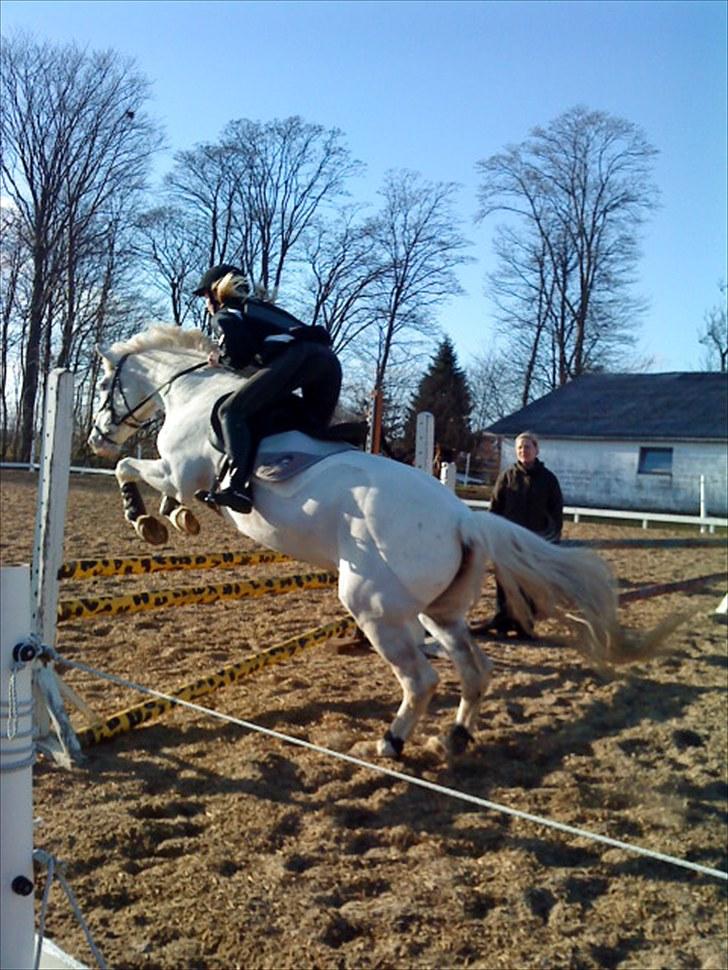 Anden særlig race Rapa Nui<3 "kommet hjem" - Hoop miin skath 70 -80 cm! billede 6