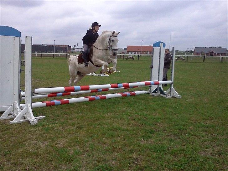 Anden særlig race MisseKatten Lucas<3 - Spring  ©L8 foto billede 11