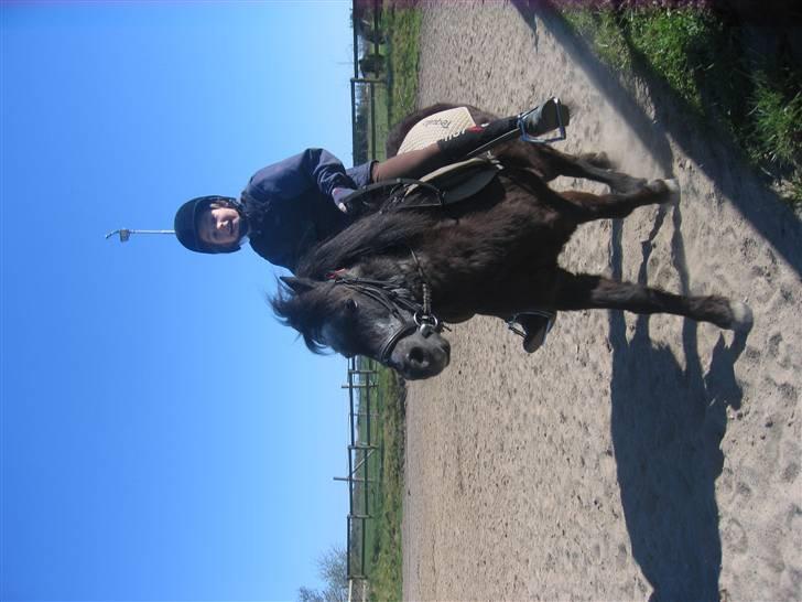 Anden særlig race Tequila. - jah en lille trave tur billede 15