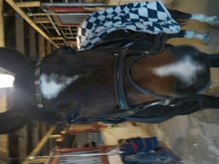 Anden særlig race Fleur<3 [Tidl. part ;( ] billede 11