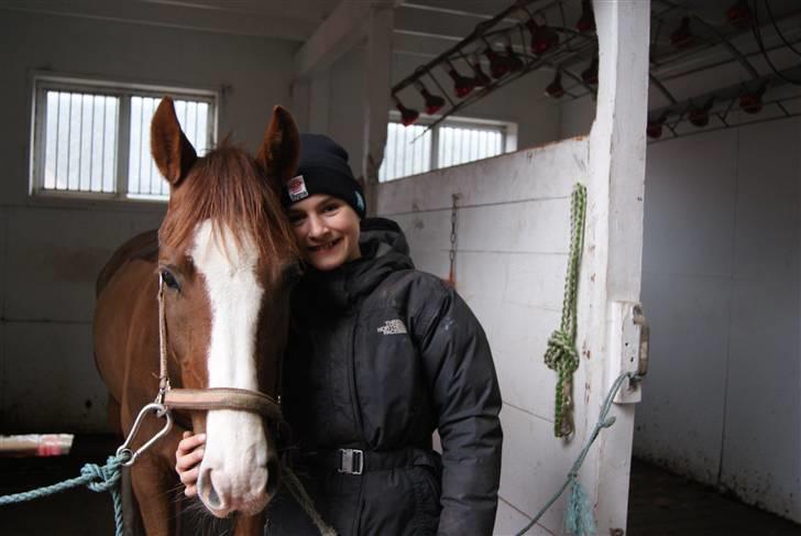 DSP Sejerø's Jackie TIDL PONY - du er og vil altid være en del af migmiin skatt <3 |FOTO Cecilie Terp| billede 12
