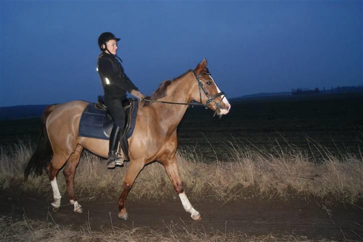 DSP Sejerø's Jackie TIDL PONY - lille tur <3 |FOTOCecilie Terp| billede 17