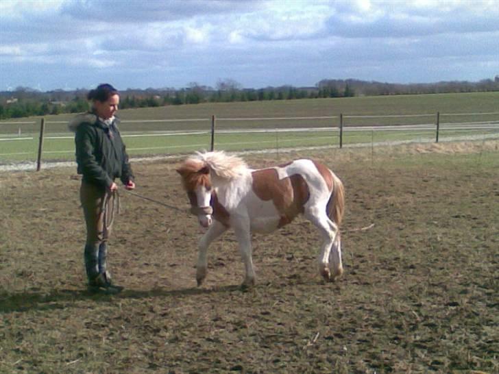 Anden særlig race Blue Eye´s billede 16