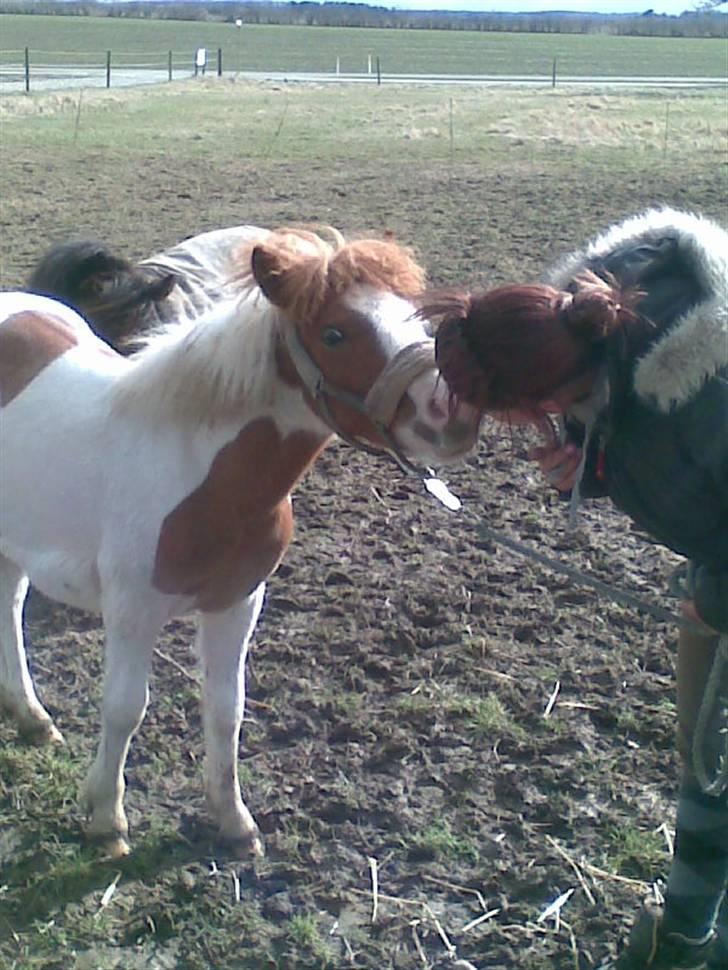 Anden særlig race Blue Eye´s billede 17