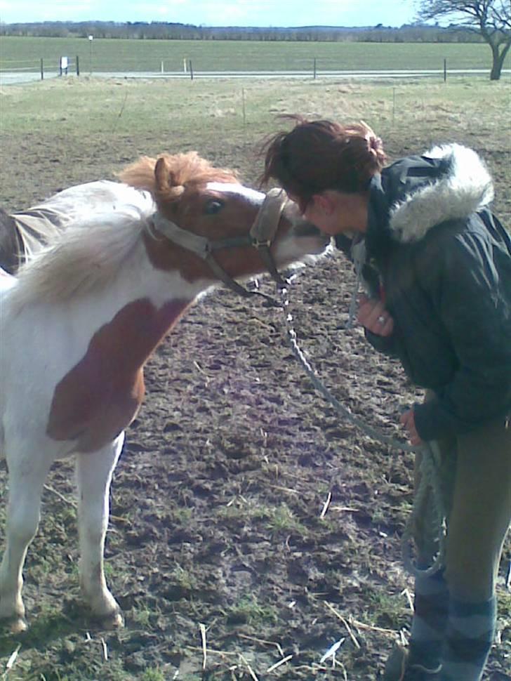 Anden særlig race Blue Eye´s billede 18