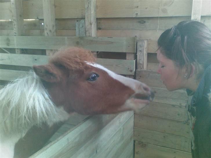 Anden særlig race Blue Eye´s billede 20