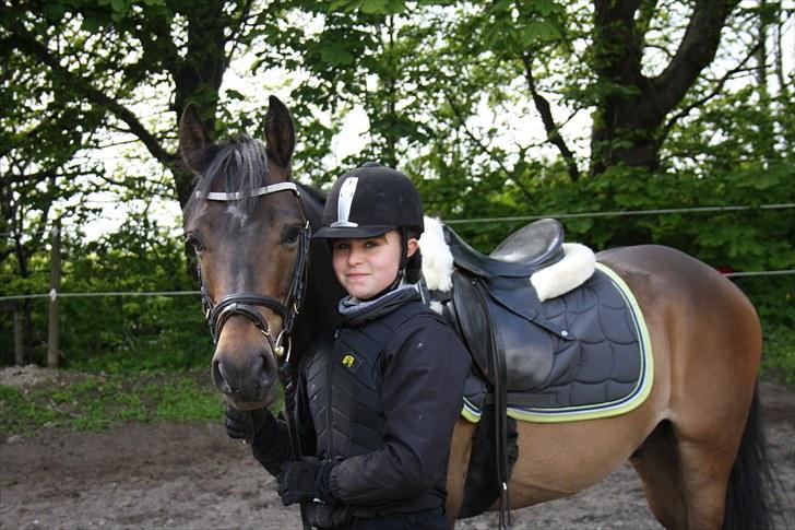 Tysk Sportspony Bonomelli (Kaldt Gonzo) - Solgt - Træning <3 Fotograf: Malene Bjørnskov. billede 9