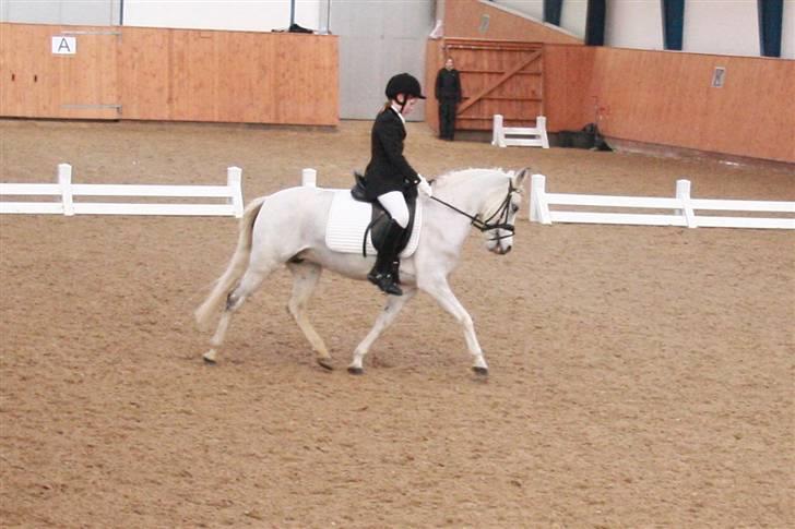 DSP Fanta <3 - Stævne i middelfart LA1 (Fotograf Mor) * "Du opnår ikke ægte kærlighed ved at finde den perfekte partner, men ved at lære at forstå den mindre perfekte partner perfekt!" billede 20