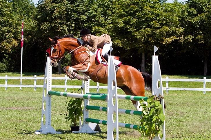 Pinto Robin  - Stævne i NFRK LB  billede 1