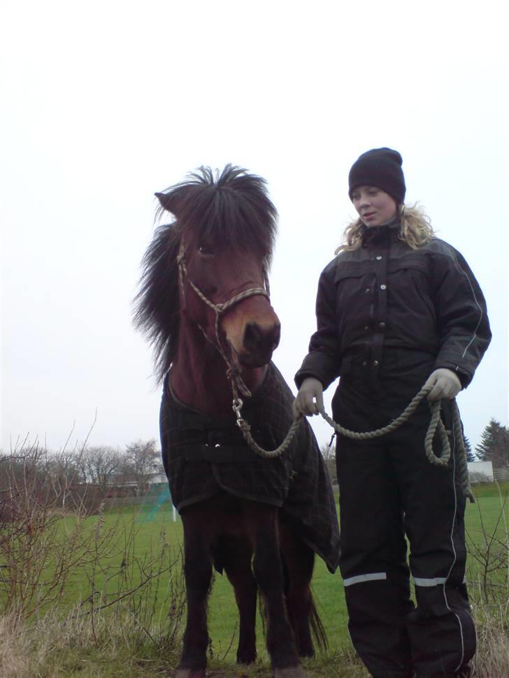 Islænder Múska fra Olesminde - mig og mussen på tur :p billede 14
