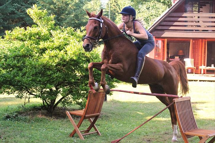 Anden særlig race Ponylands Bolero<3 sov sødt min skat -  Du er bare for sej! <3 på Pederslyst Sommer 2010, foto AC. billede 9