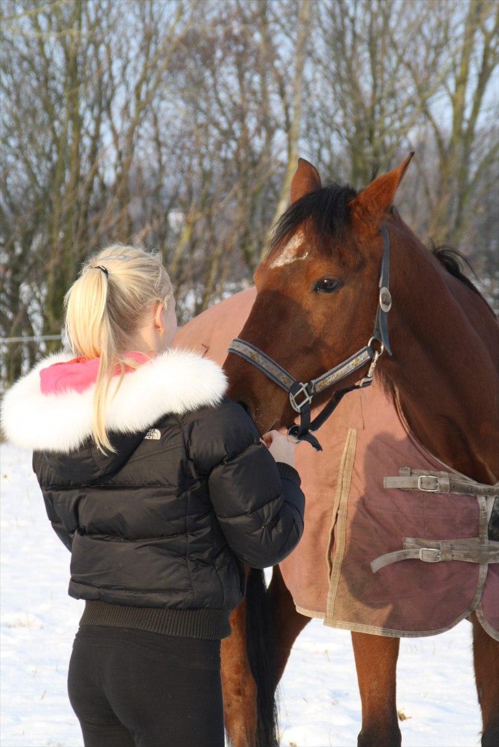 Traver Lemek Nordal - Kusine og lemek<3(=              (:foto frederikke;) billede 14