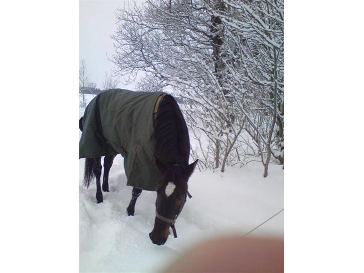 {{currentPhoto.altText}} billede {{currentPhoto.number}}