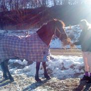 Anden særlig race Donna (part)