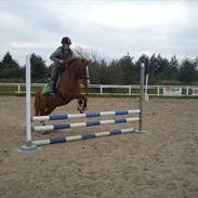 Anden særlig race Pikatju Mitalt!í;<3333333