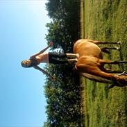 New Forest .Armani ;ii<3