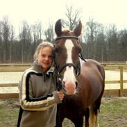 Anden særlig race Pixiline |GAMMEL PART|