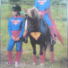 Anden særlig race Laban >Solgt<