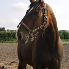 Oldenborg Evita Rosenager <3
