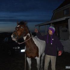 Pinto Starlight Tidl. Lånepony