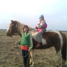 Anden særlig race Moonlight