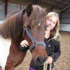 Islænder Væna-Skjóna Gl. Ladegaard 