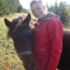 Islænder Skuggi fra Vestergaard