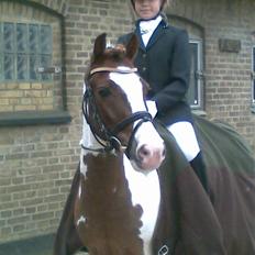 Anden særlig race Apache