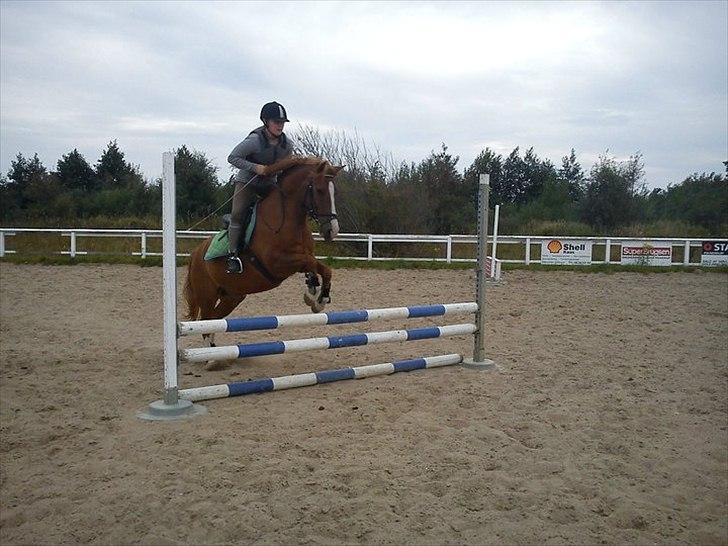 Anden særlig race Pikatju Mitalt!í;<3333333 billede 5