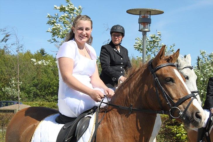 Anden særlig race Pikatju Mitalt!í;<3333333 billede 6