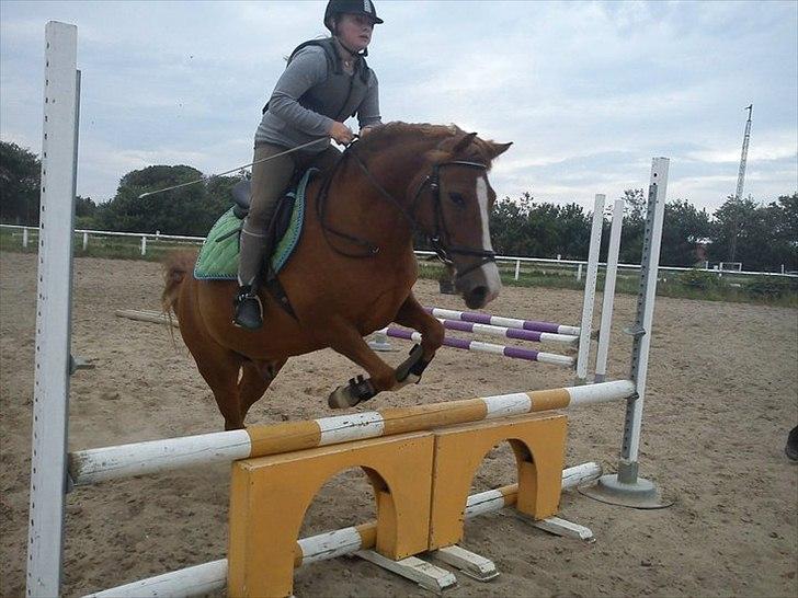 Anden særlig race Pikatju Mitalt!í;<3333333 billede 7