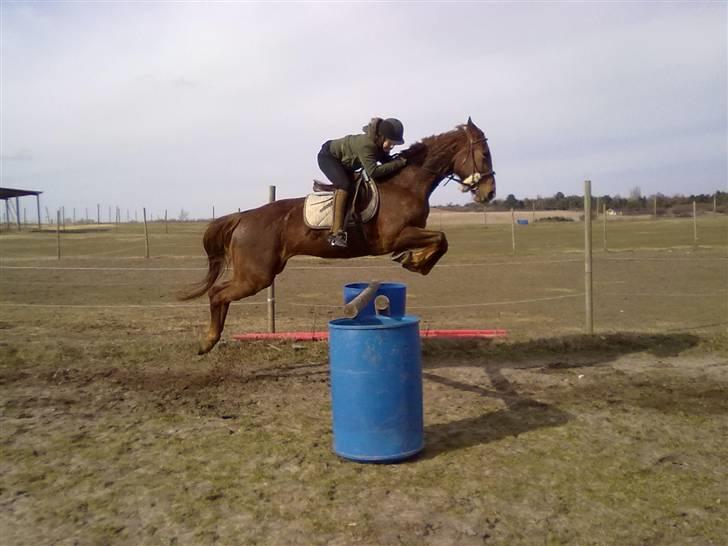 Anden særlig race Mitzi *R.I.P* 29/6 2010 billede 19