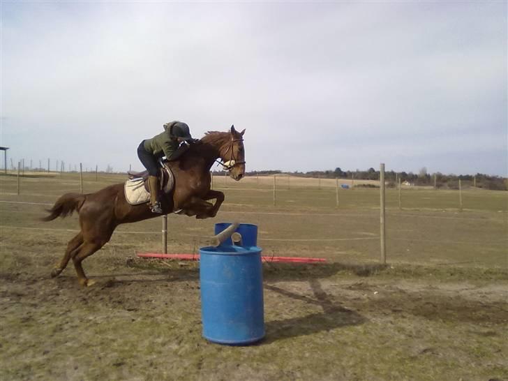 Anden særlig race Mitzi *R.I.P* 29/6 2010 billede 20