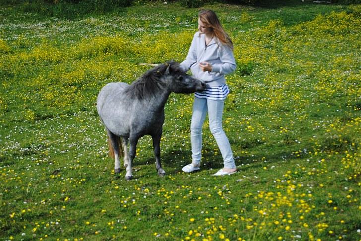 Miniature Unieke Whitey - 15] "Det är som en saga tycker jag" - En sætning fra Brødrene løve hjerte .. Det føles virkelig som et eventyr. billede 15