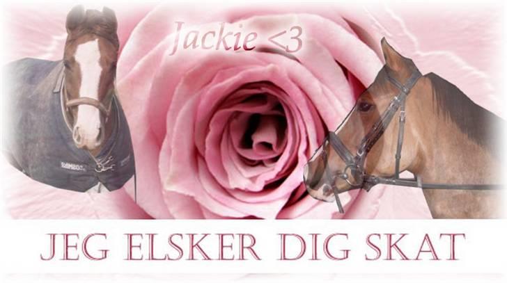 DSP Sejerø's Jackie TIDL PONY - billedet siger jo alt! <3 tak fordi i kiggede med læg gerne en kommentar xD billede 18