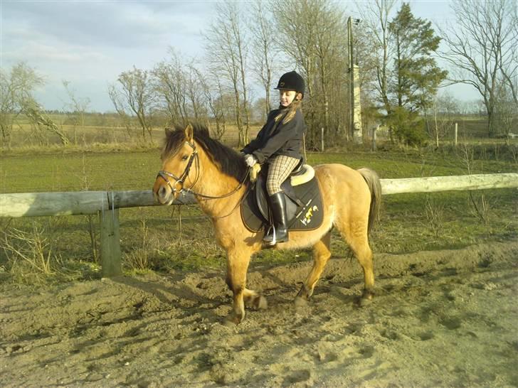 Anden særlig race Tarzan  #SOLGT# billede 7