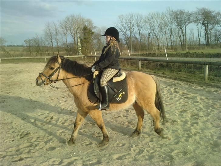 Anden særlig race Tarzan  #SOLGT# billede 9