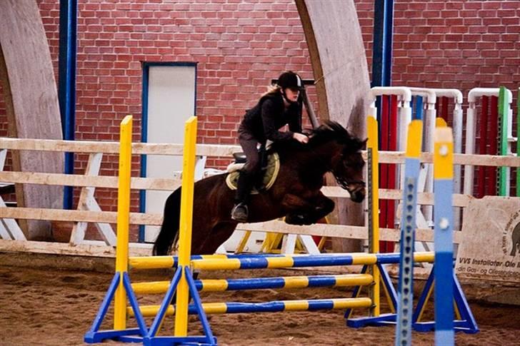 Anden særlig race Trunte † - Fotograf: Maria Rasch billede 2