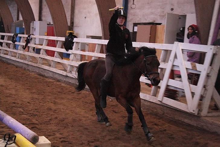 Anden særlig race Trunte † - Fotograf: Maria Rasch billede 4