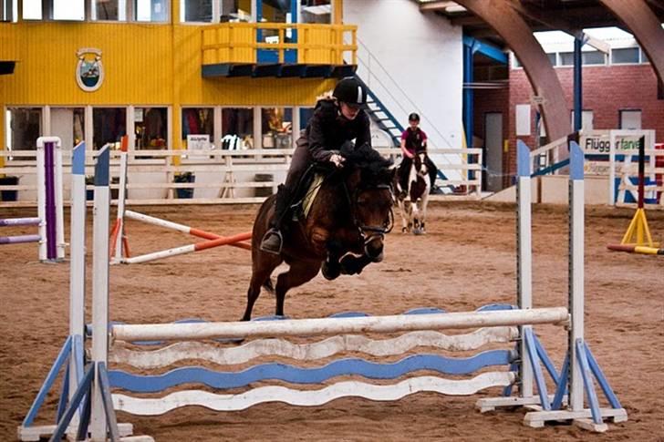 Anden særlig race Trunte † - Fotograf: Maria Rasch billede 5