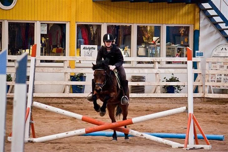Anden særlig race Trunte † - Fotograf: Maria Rasch billede 6