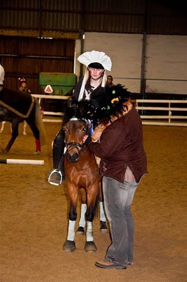 Anden særlig race Trunte † - Fotograf: Maria Rasch - Fordi vi vinder !!<3 (Fastelavns ringridning) billede 7