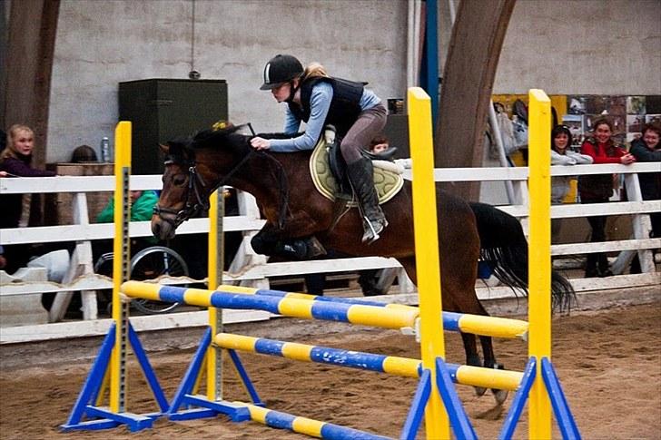 Anden særlig race Trunte † - Fotograf: Maria Rasch (Højdespring) billede 8
