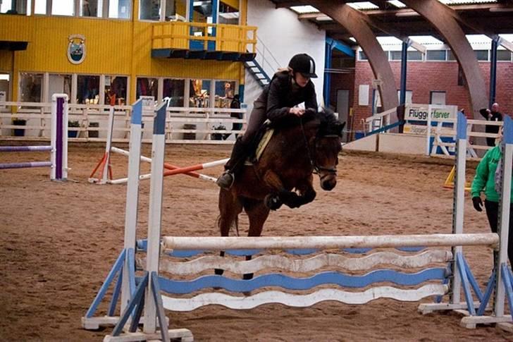 Anden særlig race Trunte † - Fotograf: Maria Rasch billede 9