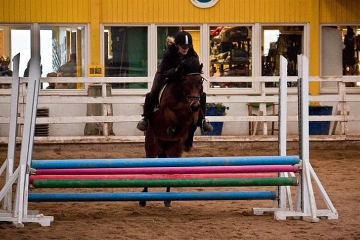 Anden særlig race Trunte † - Fotograf: Maria Rasch billede 10