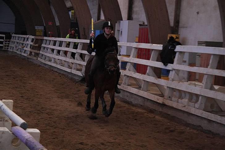 Anden særlig race Trunte † - Fotograf: Maria Rasch billede 11