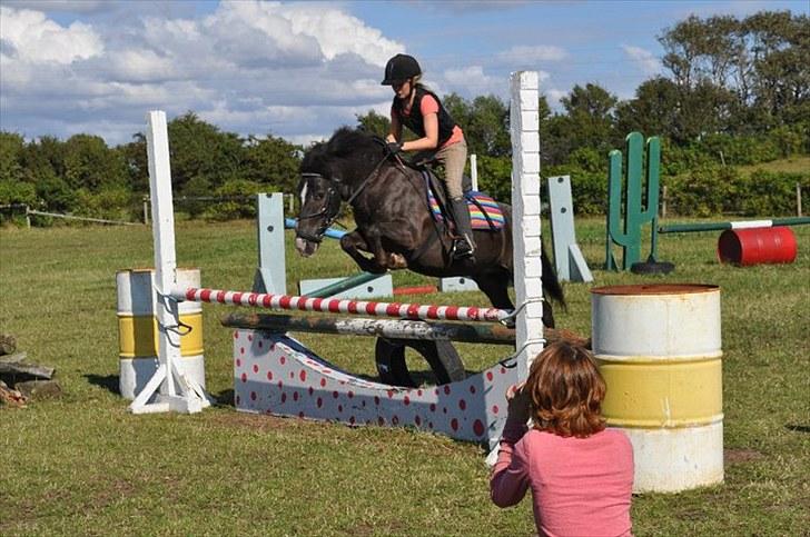 Anden særlig race Max <3 - svær spring til stævne på ridelejr hvor vi vandt :-D<3. (HG FORINGER KVALITET)                               billede 6