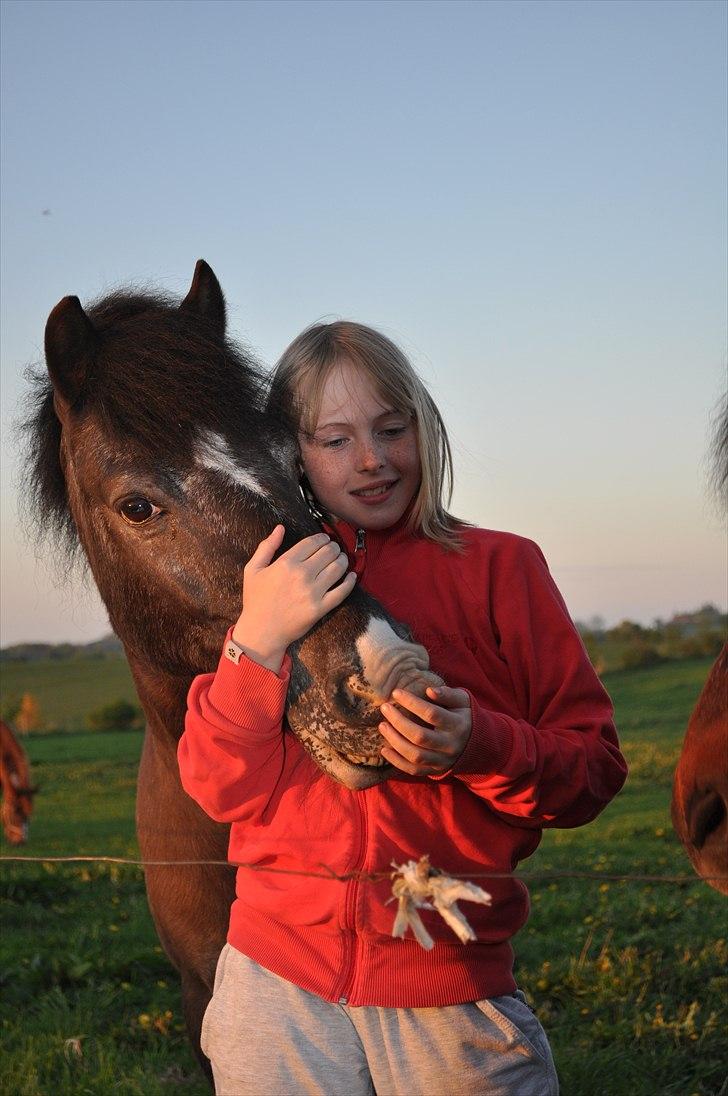 Anden særlig race Max <3 - NYT! JEG ELSKER DIIG!<´3 :-D billede 9